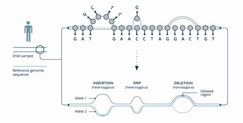 科學前沿的革新印記 2020年《科學家》雜志十大創(chuàng)新科技產(chǎn)品盤點